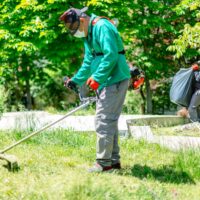 jardinería y mantenimiento exterior